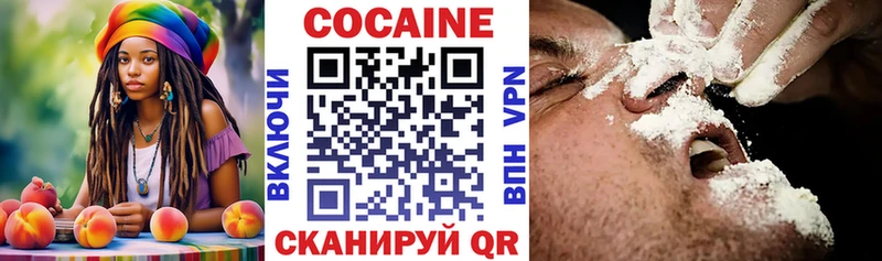 Купить где  Жирновск  Кокаин Fish Scale 
