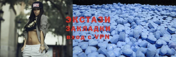 прущие грибы Каменногорск