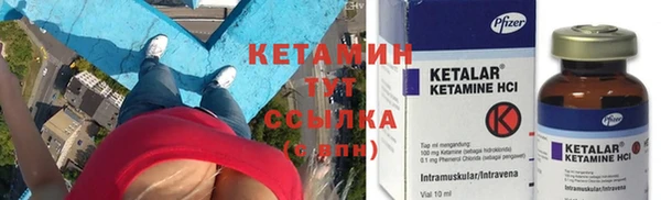 прущие грибы Каменногорск
