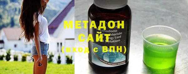 прущие грибы Каменногорск