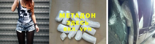прущие грибы Каменногорск