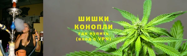 прущие грибы Каменногорск