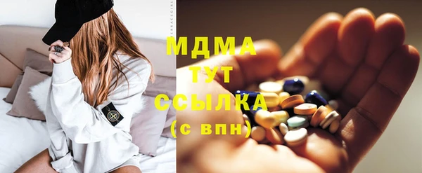 прущие грибы Каменногорск