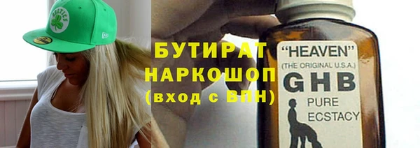 прущие грибы Каменногорск
