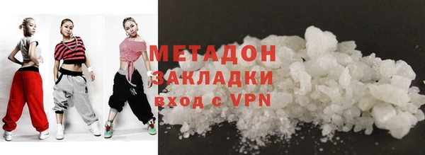прущие грибы Каменногорск