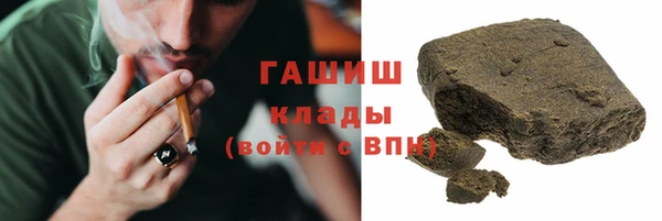 прущие грибы Каменногорск