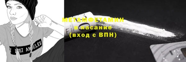прущие грибы Каменногорск