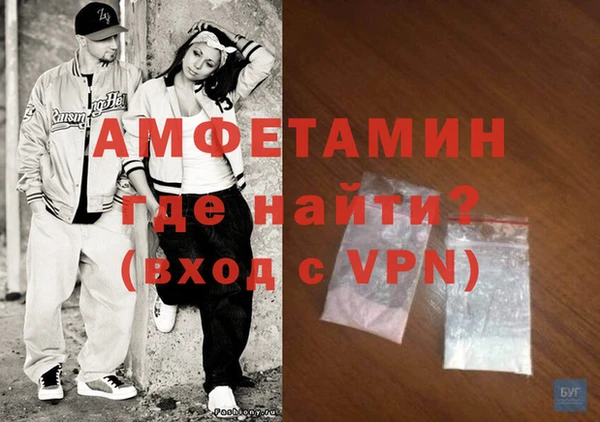 прущие грибы Каменногорск