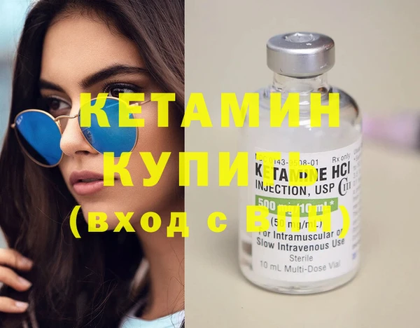 прущие грибы Каменногорск