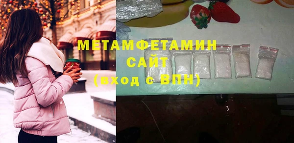 прущие грибы Каменногорск