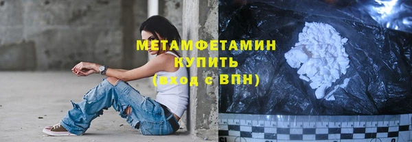 прущие грибы Каменногорск