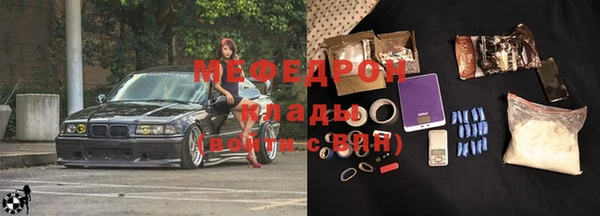 прущие грибы Каменногорск